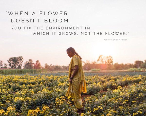 The Untold Story of The Flower That Didn't Bloom
