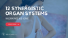 12 SYNERGISTIC ORGAN SYSTEMS WORKING AS ONE