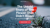 The Untold Story of The Flower That Didn't Bloom