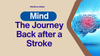 Neural Renaissance: A Day-by-Day Guide to Stroke Recovery Optimization