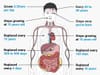 The Biology of 1% Habit stacking each day for 365 days | 37 x Regeneration