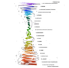 The Frequency of Authenticity | Abraham-Hicks emotional hierarchy and David R. Hawkins calibrated frequency model