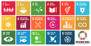 Purpose Test - 17 United Nations Sustainable Development Goals