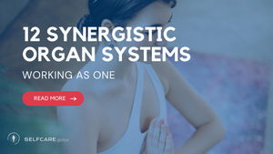 Synergistic Healing: How Your Body's 12 Systems Hold the Key to Overcoming Fatigue and Disconnection