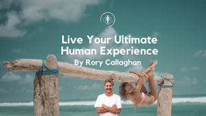 From Burnout to Brilliance: The Science of Sustainable Energy