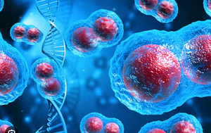 We Built Cancer: How Our Purchases, Businesses, and Dollars Fuel the Epidemic