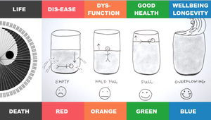 The 4 Zones of Wellbeing from the SelfCare Book by Rory Callaghan | From Red to Blue Zones