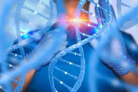 Functional Gene Restoration and Cancer Stem Cell Eradication in a Treatment-Resistant TNBC Case: A First-in-Human Paradigm Shift (summary)