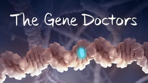 Stepwise, Falsifiable In-Vivo Gene Re-Expression: PI3K, SIN3/HDAC, and AKG Mechanistic Framework