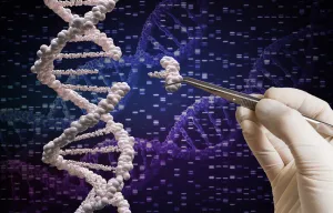 Epigenetic Reactivation in Practice: A Clinician’s Guide to Triune Restoration (Non-Editing)