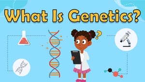 How Cells Wake Up Sleeping Genes: A Fun Guide for Kids