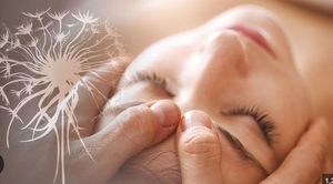 The 12 Medicines of SelfCare | How to Transform Burnout into Boundless Energy