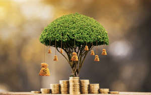 The Abundant Creator OS