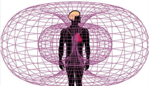 The Heart Coherence OS Gym