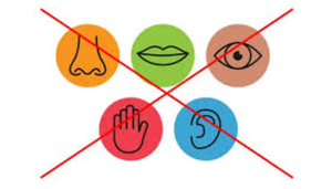 THE HUMAN SENSORY OS | Biological, Energetic, Metaphysical