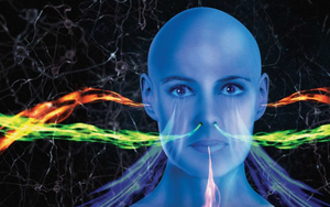 THE HUMAN SENSORY OS