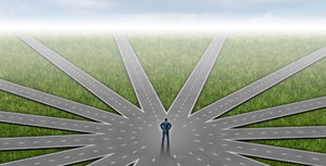 THE CHOOSE YOUR ALIGNED PATH OS