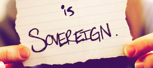 Financial Sovereignty | Companion