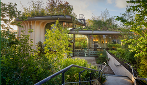 The Retreat or Sanctuary Design Framework (Spaces That Heal Without Trying)