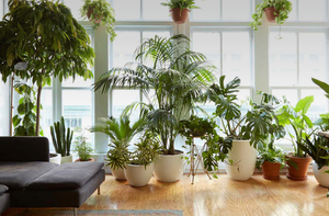 Low-Budget Apartment Retrofit Guide (Calm Without Renovation)