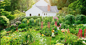 The Optimal Regenerative Home